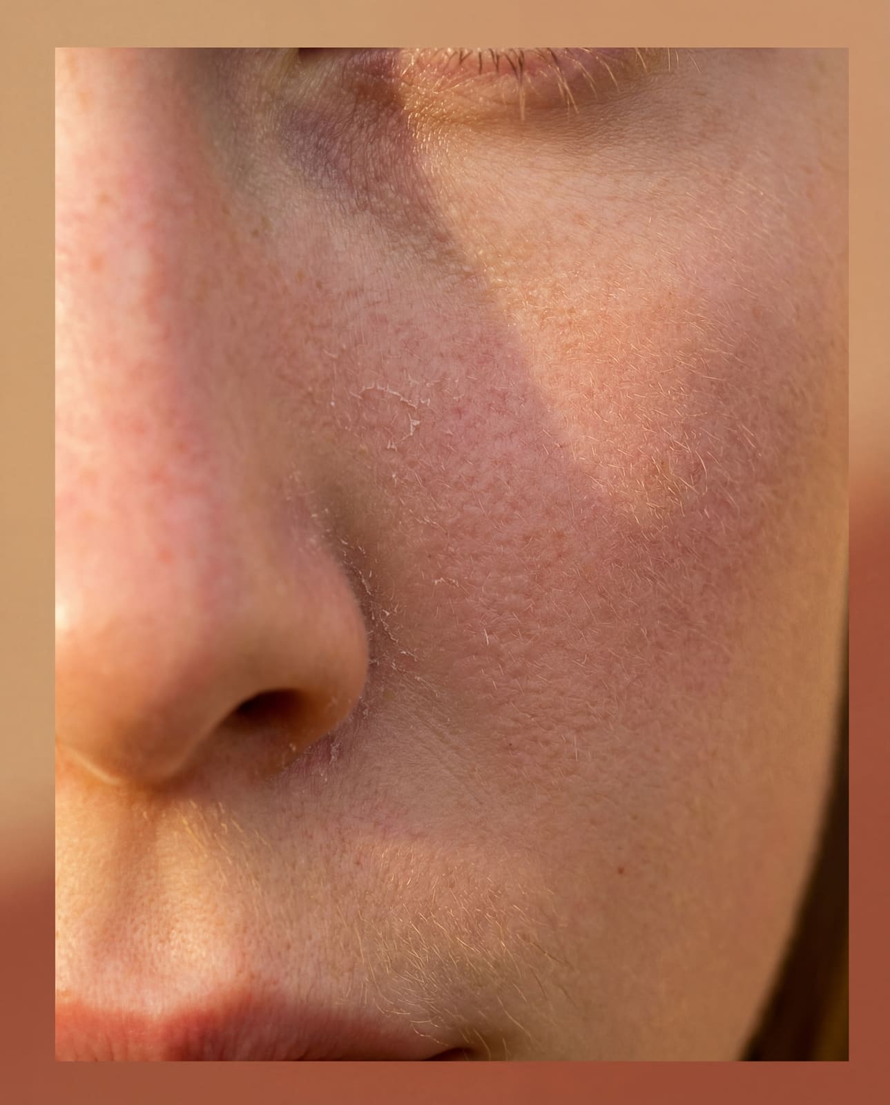 Cellular turnover visualization